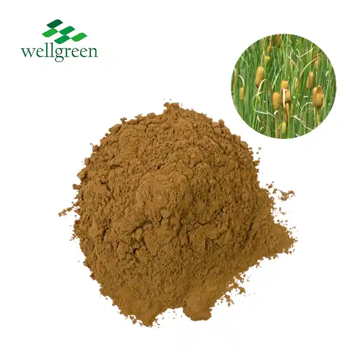 Acorus Calamus Extract